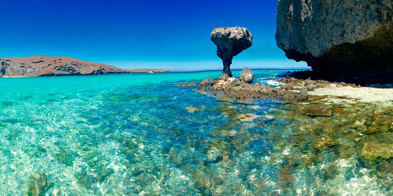 Tour a Balandra en Embarcación