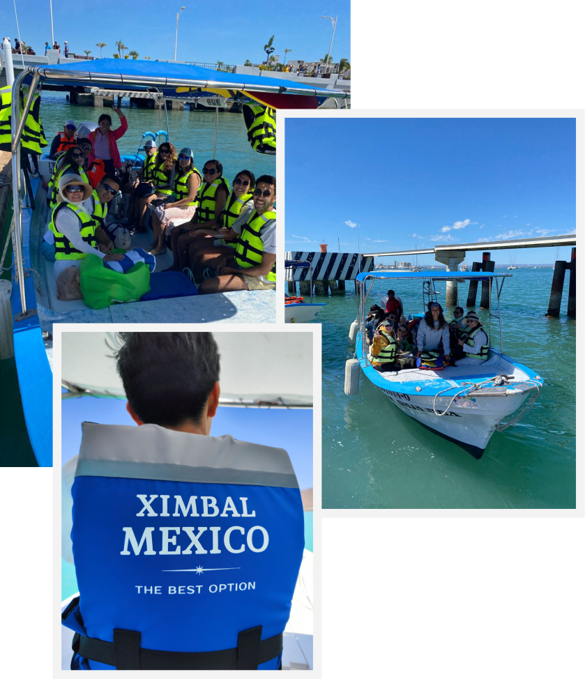 transporte Ximbal Baja Sur